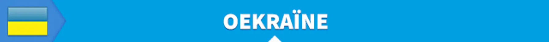 Ondersteunend beeld bij het artikel