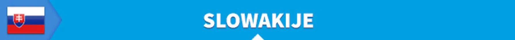 Ondersteunend beeld bij het artikel