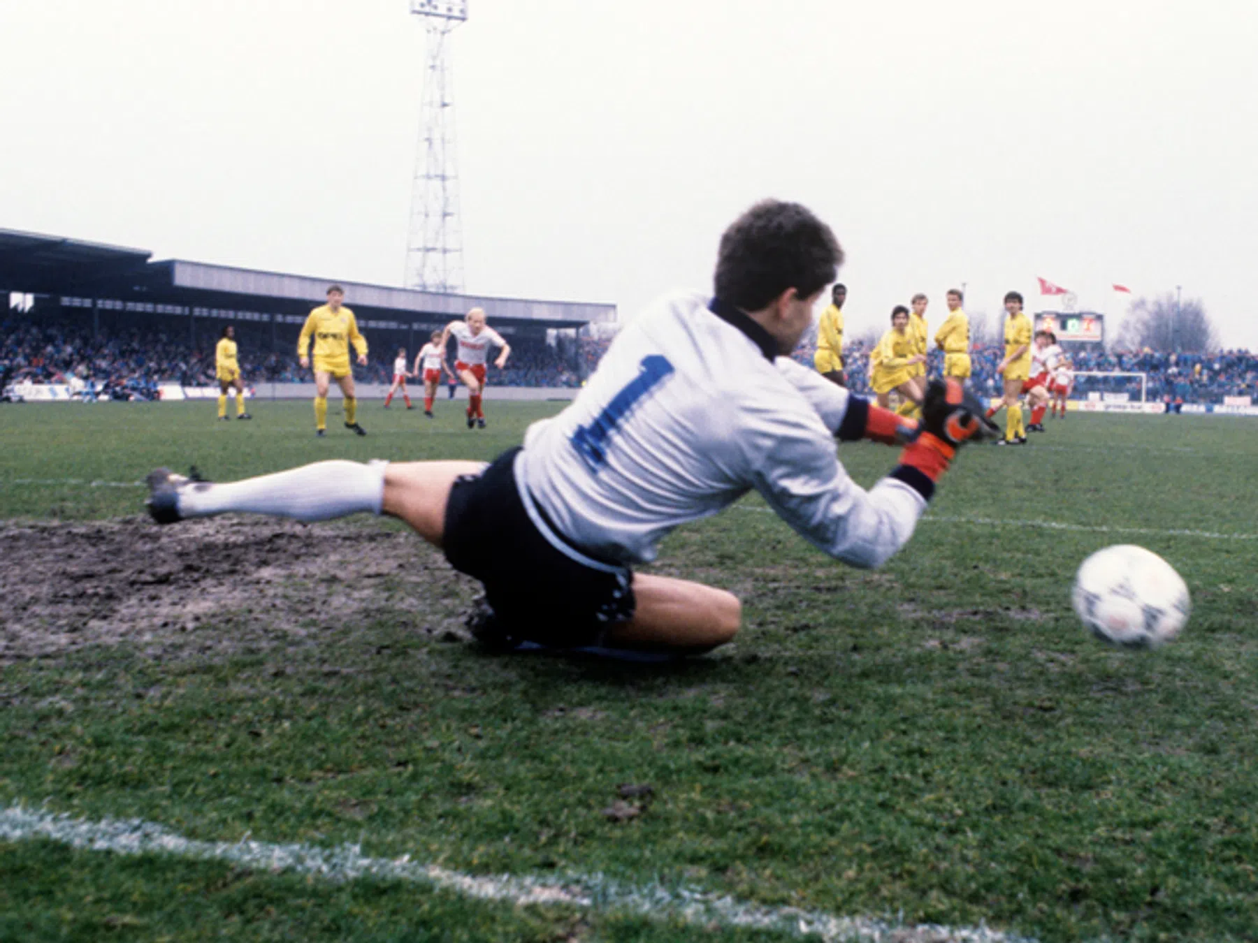 Ondersteunend beeld bij het artikel