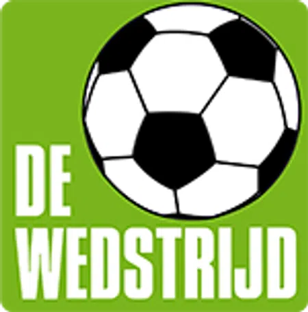 Ondersteunend beeld bij het artikel