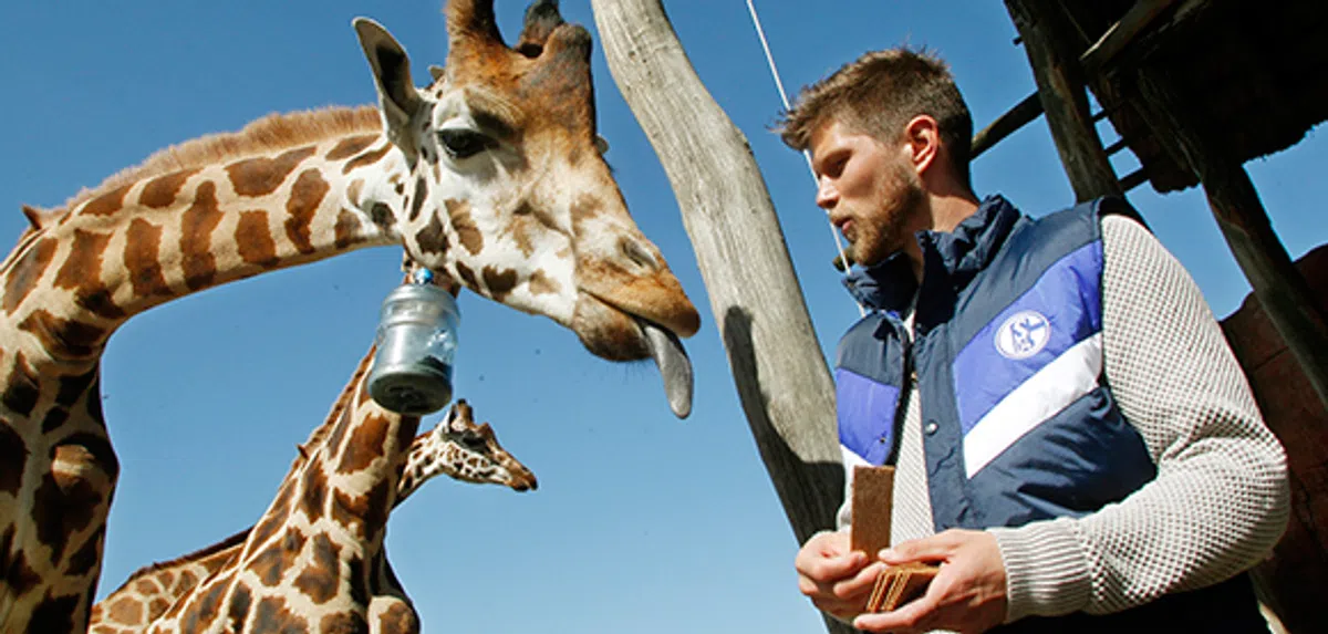 Ondersteunend beeld bij het artikel