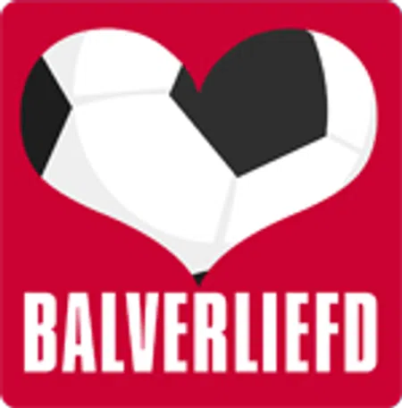 Ondersteunend beeld bij het artikel