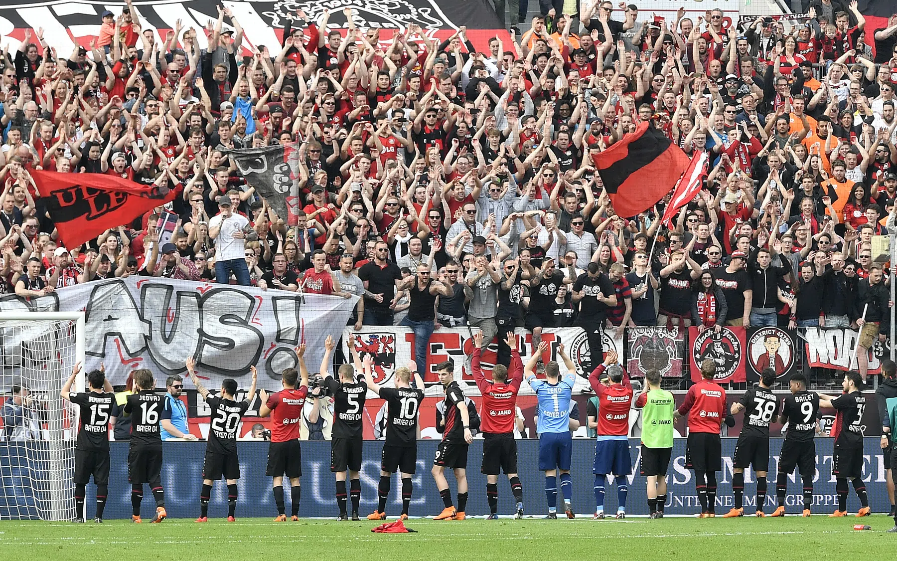 Ondersteunend beeld bij het artikel