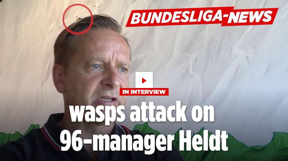 Ondersteunend beeld bij het artikel