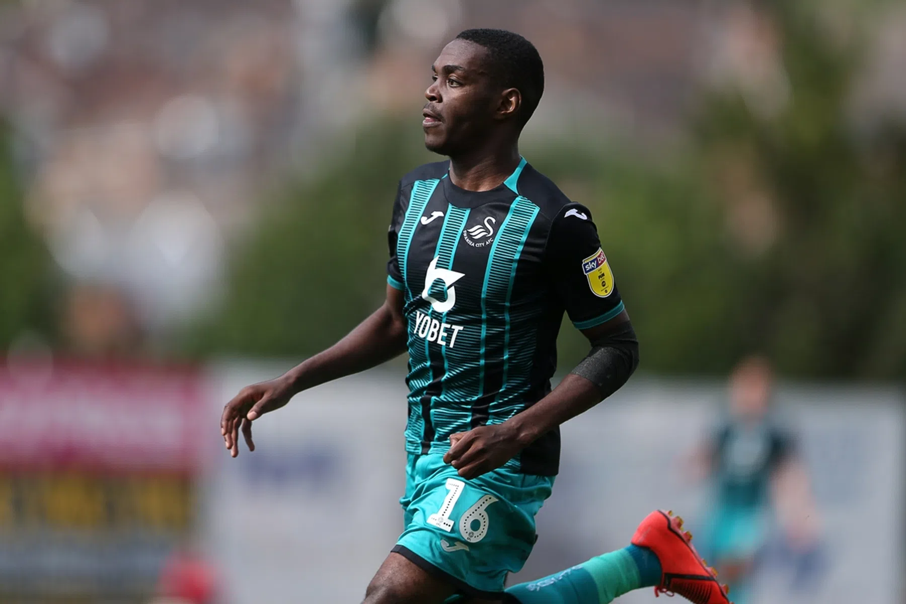 Ondersteunend beeld bij het artikel