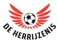 Ondersteunend beeld bij het artikel