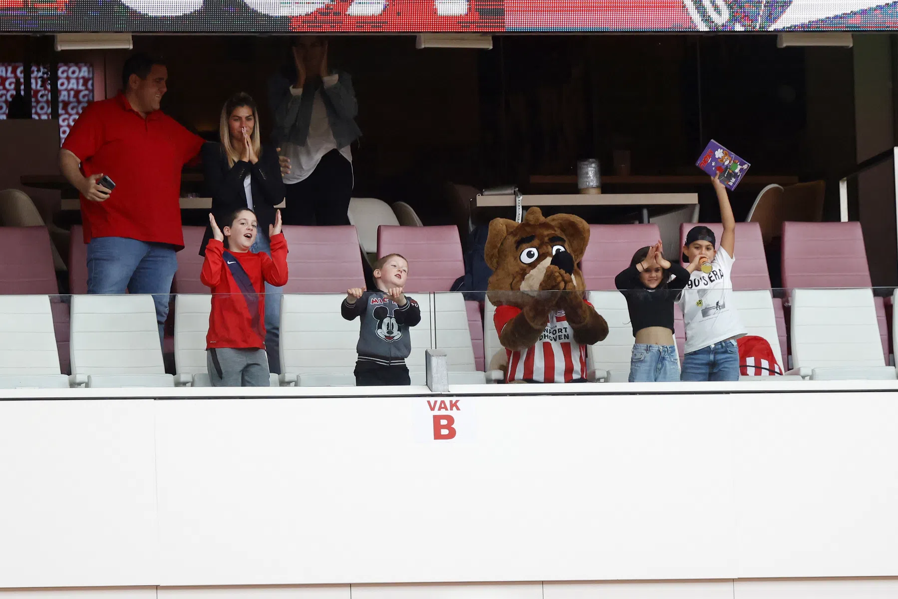 Ondersteunend beeld bij het artikel