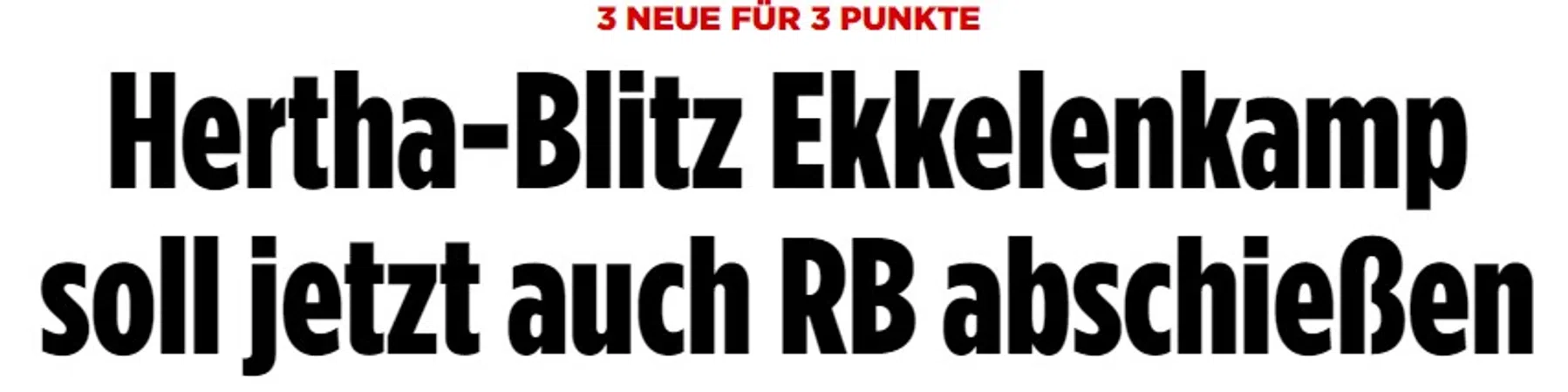 Ondersteunend beeld bij het artikel