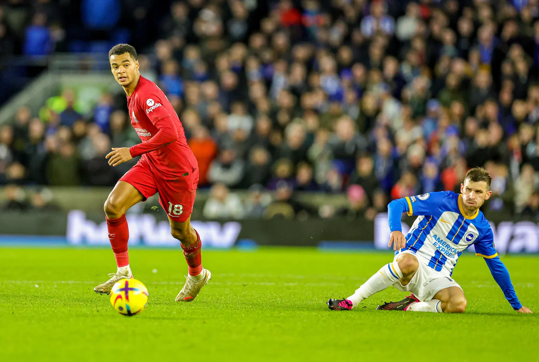 Ondersteunend beeld bij het artikel