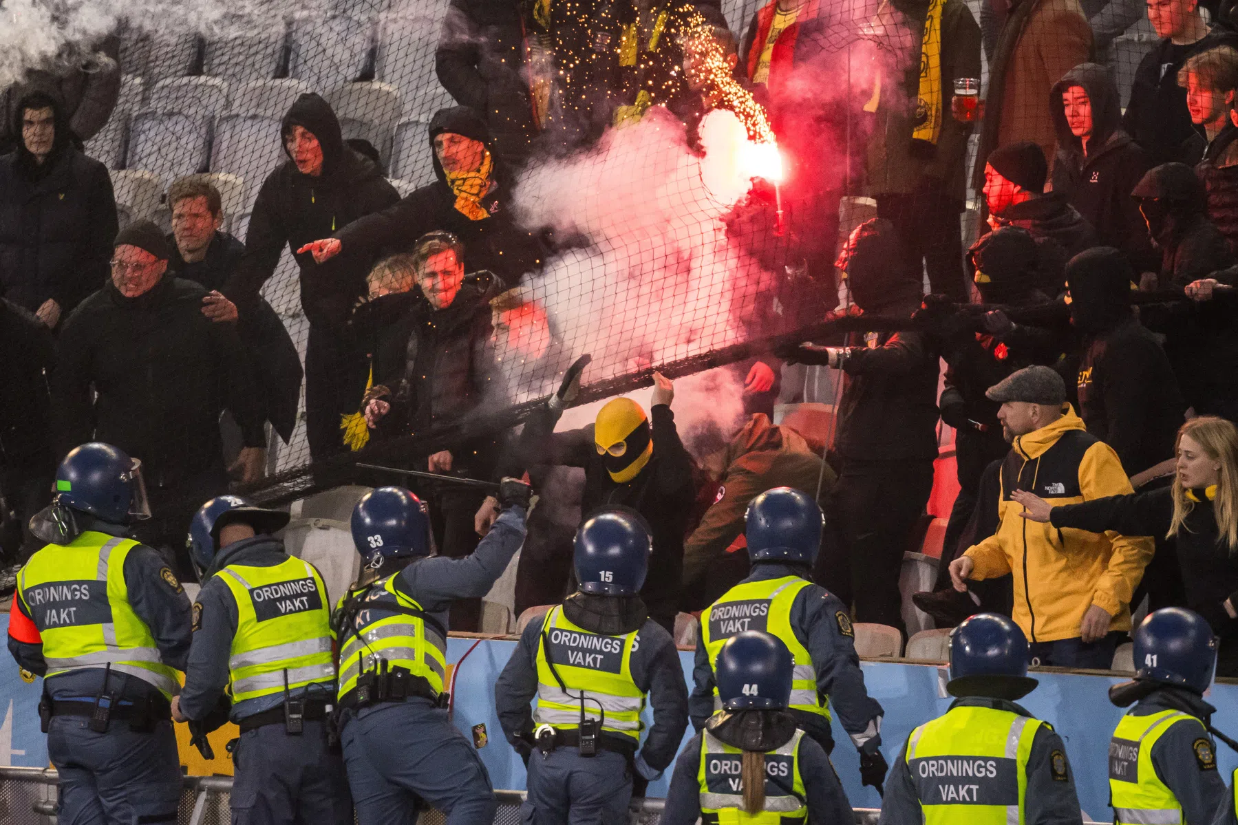 Ondersteunend beeld bij het artikel