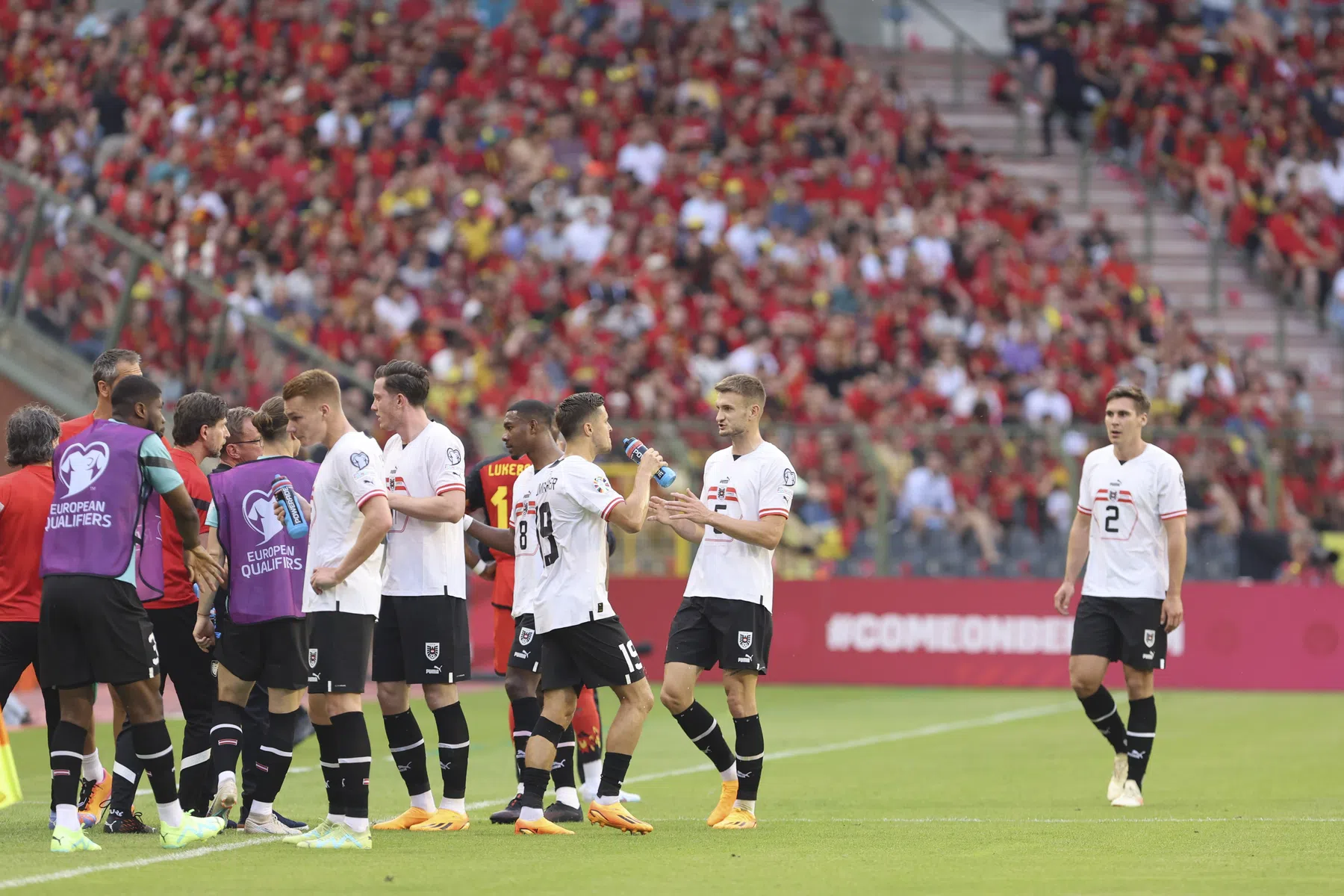 Ondersteunend beeld bij het artikel