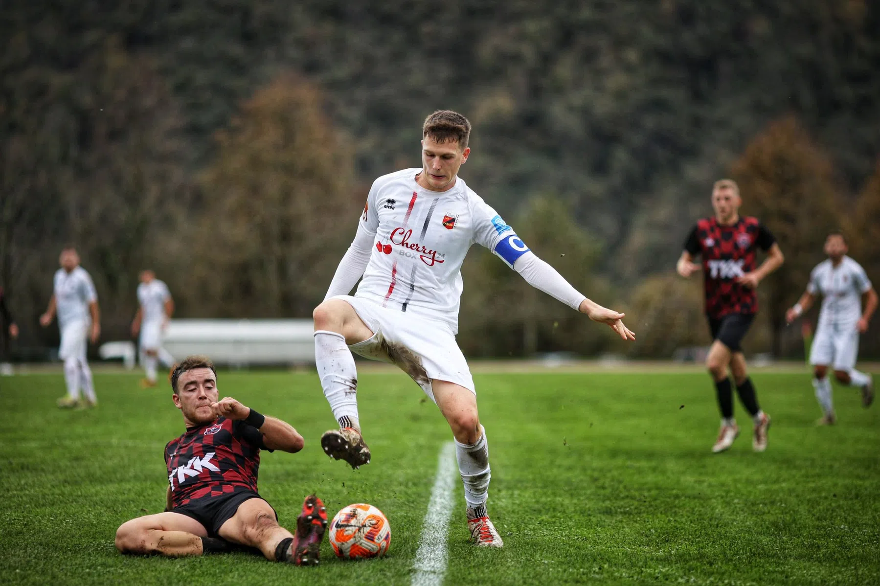 Ondersteunend beeld bij het artikel