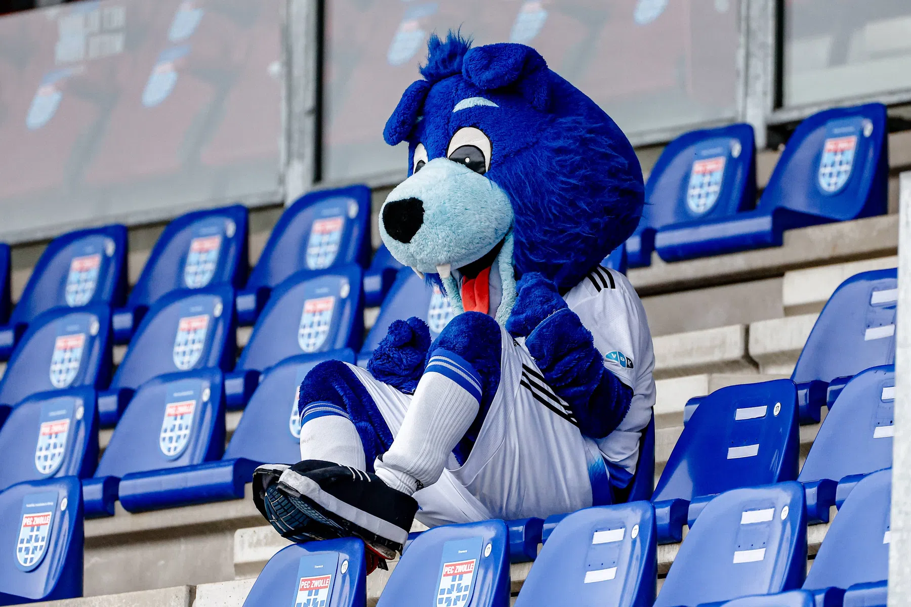 Ondersteunend beeld bij het artikel