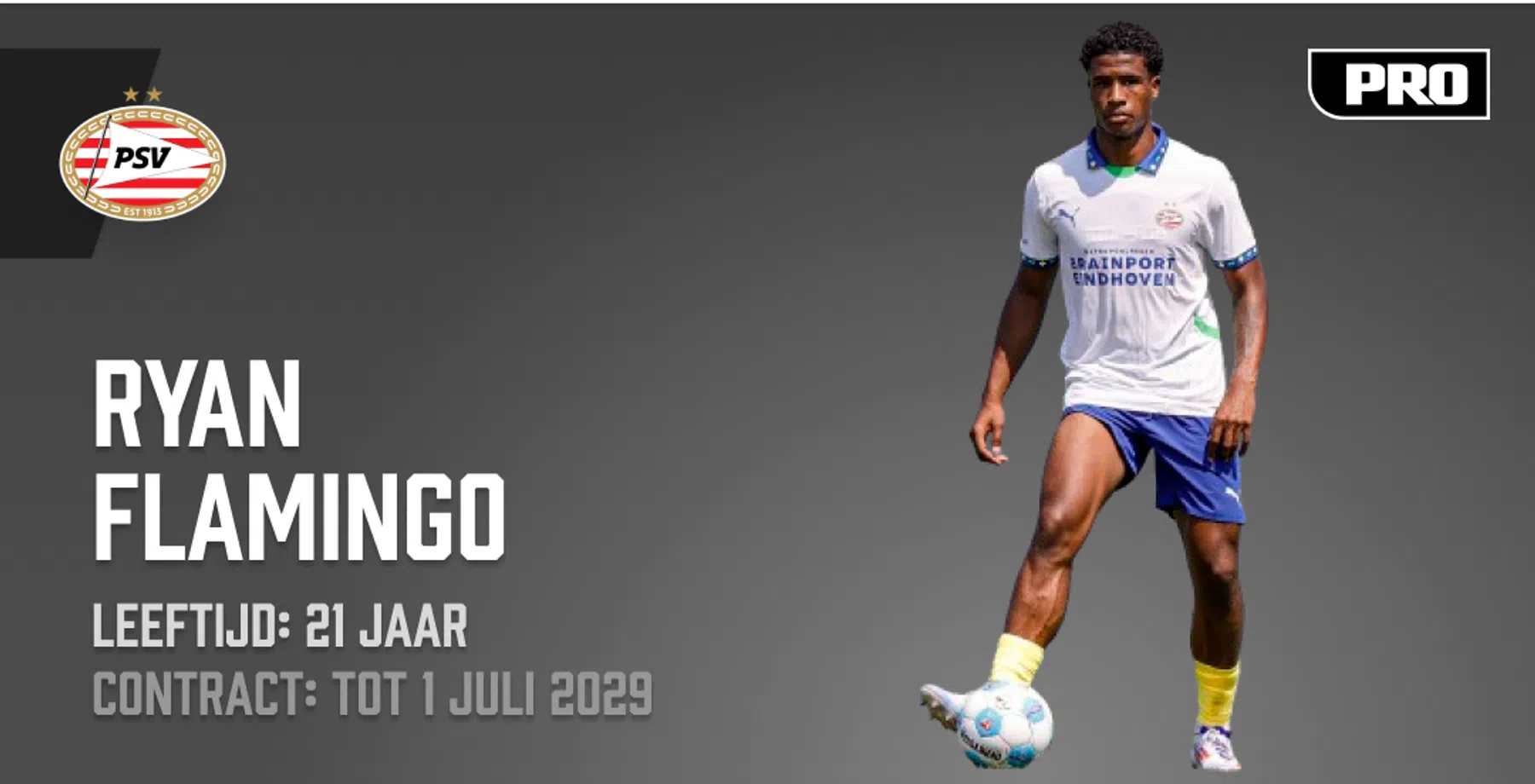 Ondersteunend beeld bij het artikel