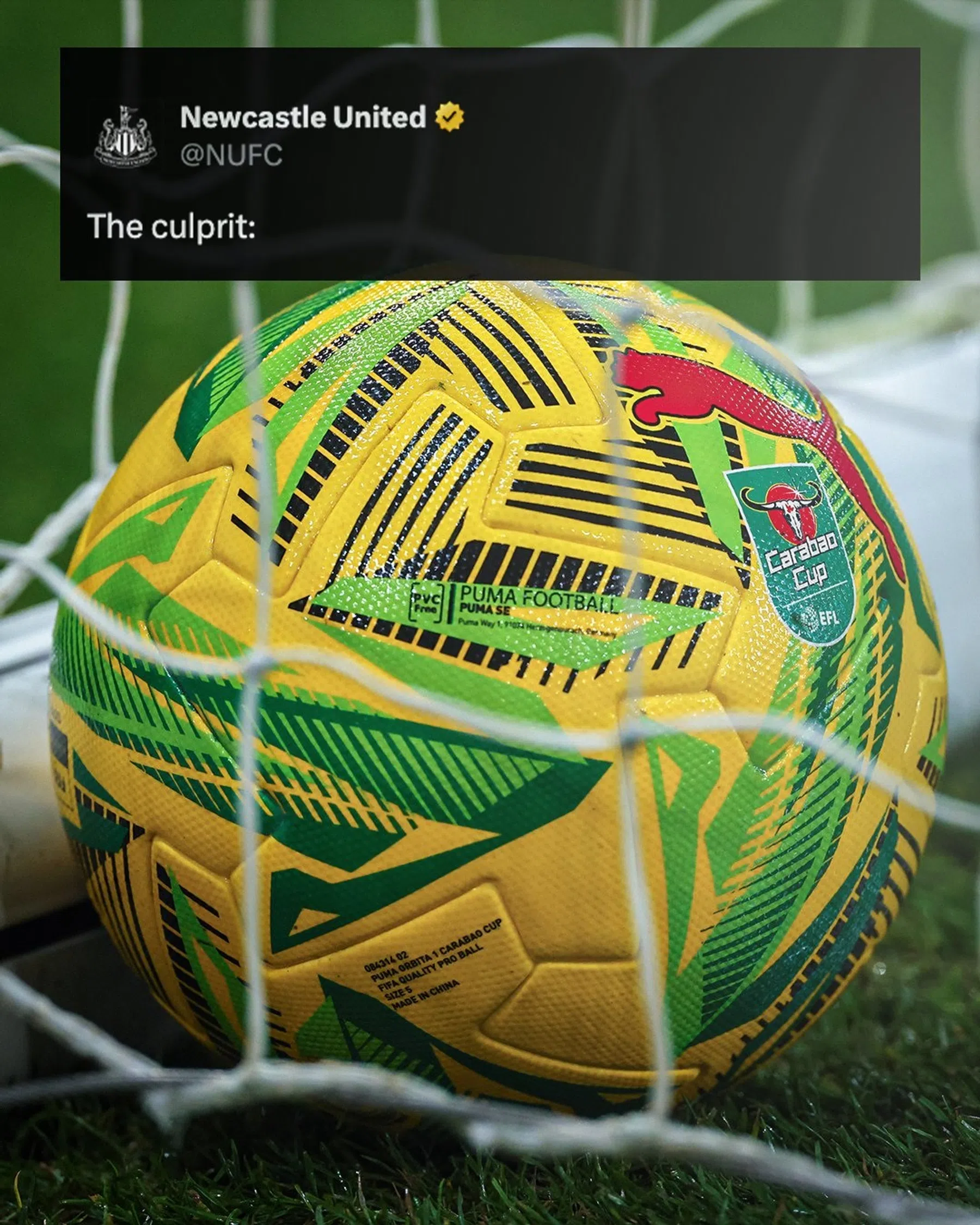 Ondersteunend beeld bij het artikel