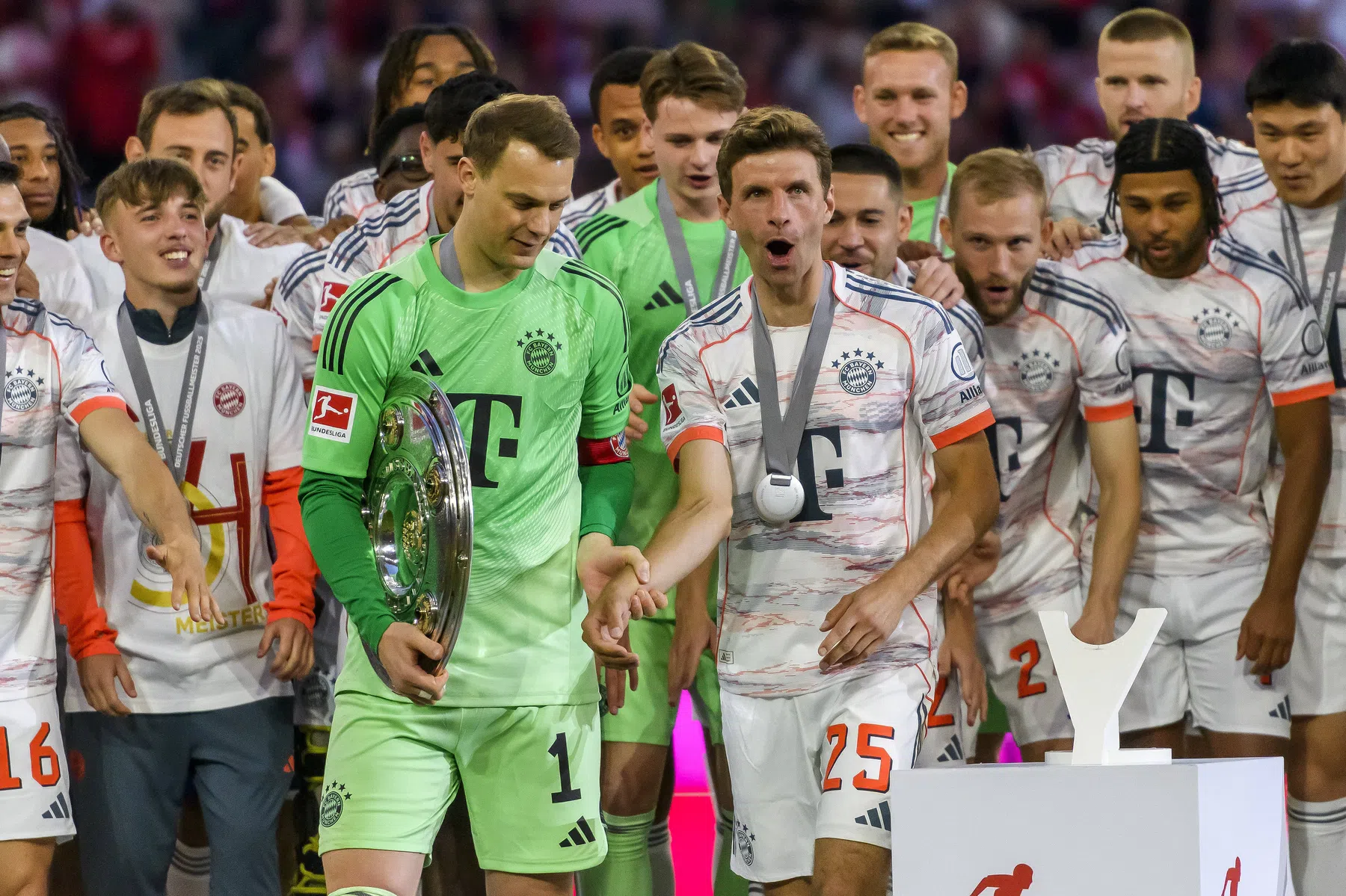 Ondersteunend beeld bij het artikel