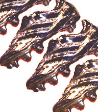 Makaay beloont collega's met gouden schoen