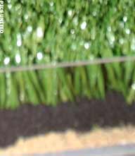 Eagles mogen niet gratis trainen bij Heracles