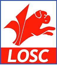 Lille verslaat Sevilla door curieuze goal