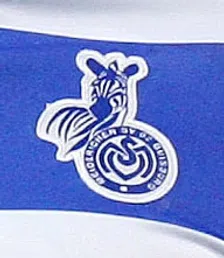 Thumbnail for article: MSV Duisburg verkiest Ishiaku boven Ailton