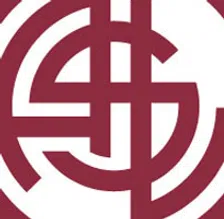 Thumbnail for article: Livorno stelt onervaren Camolese aan als coach