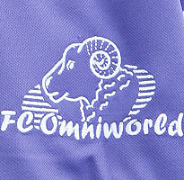 FC Omniworld grijpt naast Estse international