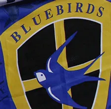 Thumbnail for article: 'Geen volkslied maar wel Europa voor Cardiff City'