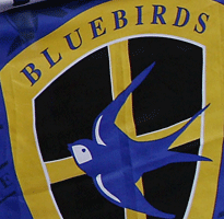 Cardiff City mag namens Engeland Europa in