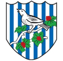 West Bromwich Albion en Stoke City naar Premier League