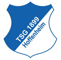 Wellington derde Braziliaan voor gepromoveerd Hoffenheim