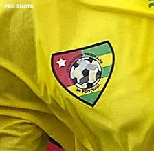Thumbnail for article: Bondscoach Togo stopt vanwege intern geruzie