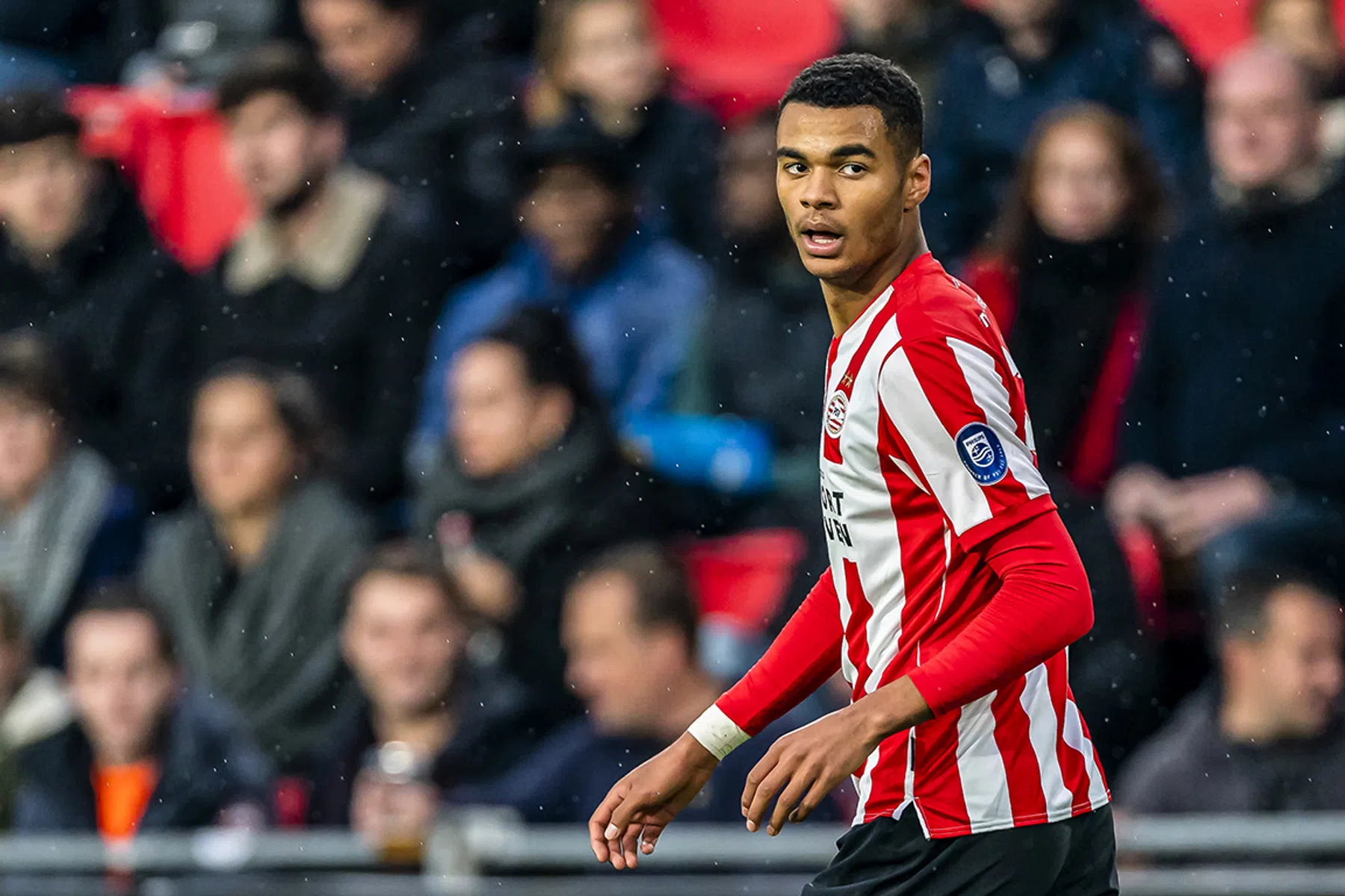 Cody Gakpo: van Stratum naar de spotlights