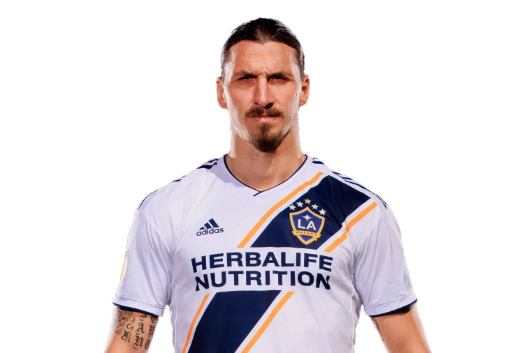 VI Rebound: Op audiëntie bij Zlatan Ibrahimovic