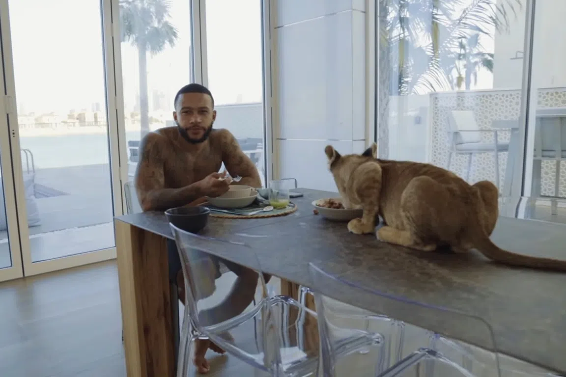 Dierenorganisaties boos op Memphis na nieuwe video met lijgerwelp