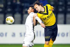 Thumbnail for article: De Maldini van De Koel is nu medewerker op een kantoor in Oss