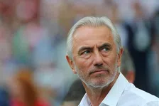 Thumbnail for article: Van Marwijk keert terug als bondscoach Verenigde Arabische Emiraten