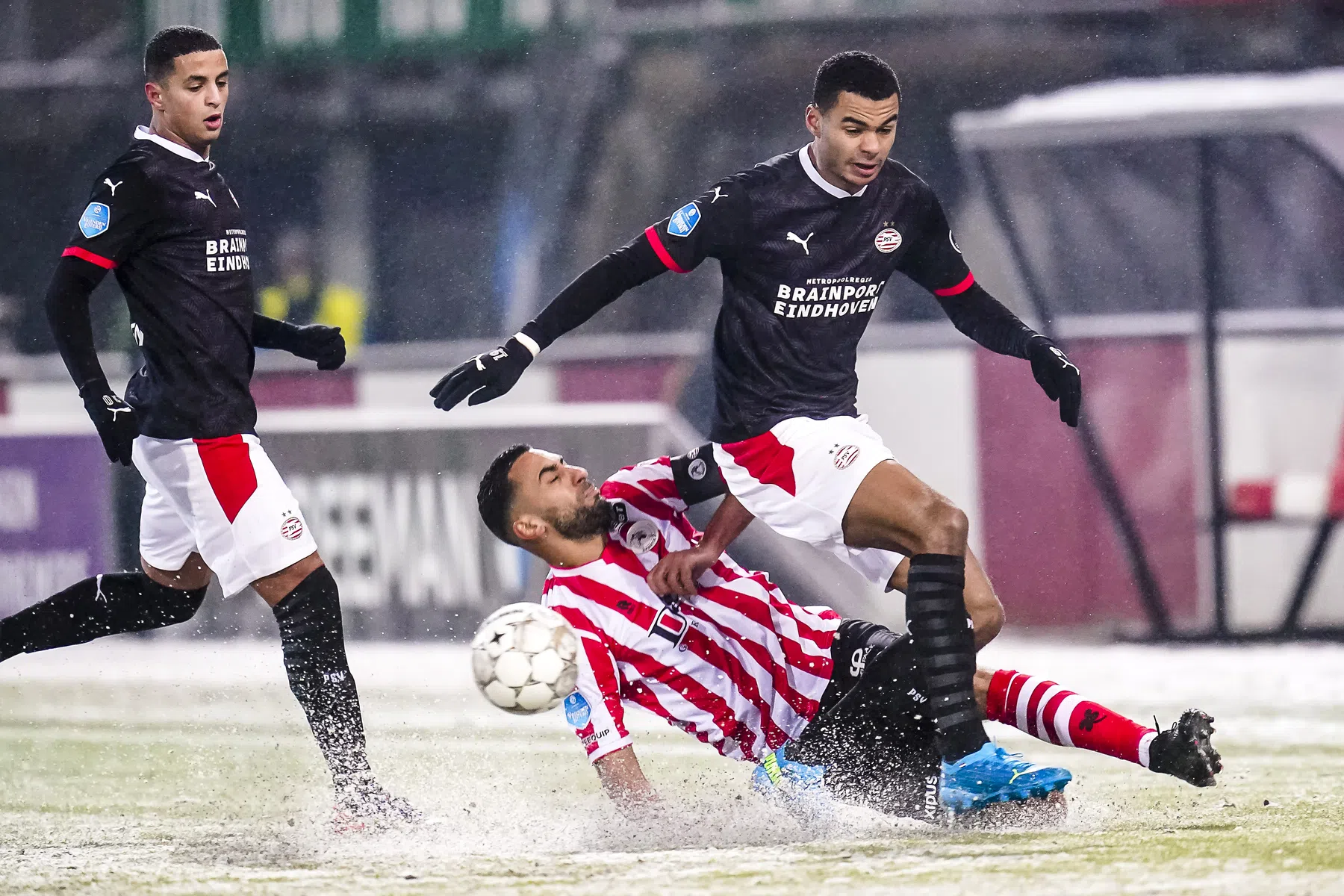 'Gakpo hoort in het rijtje met Memphis, Bergwijn en Malen'