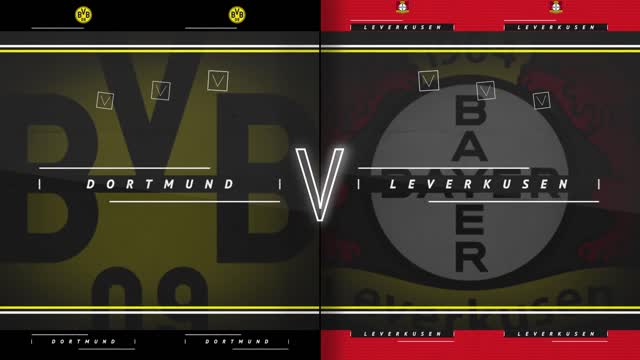 Haaland en Bürki tonen klasse bij Dortmund-zege
