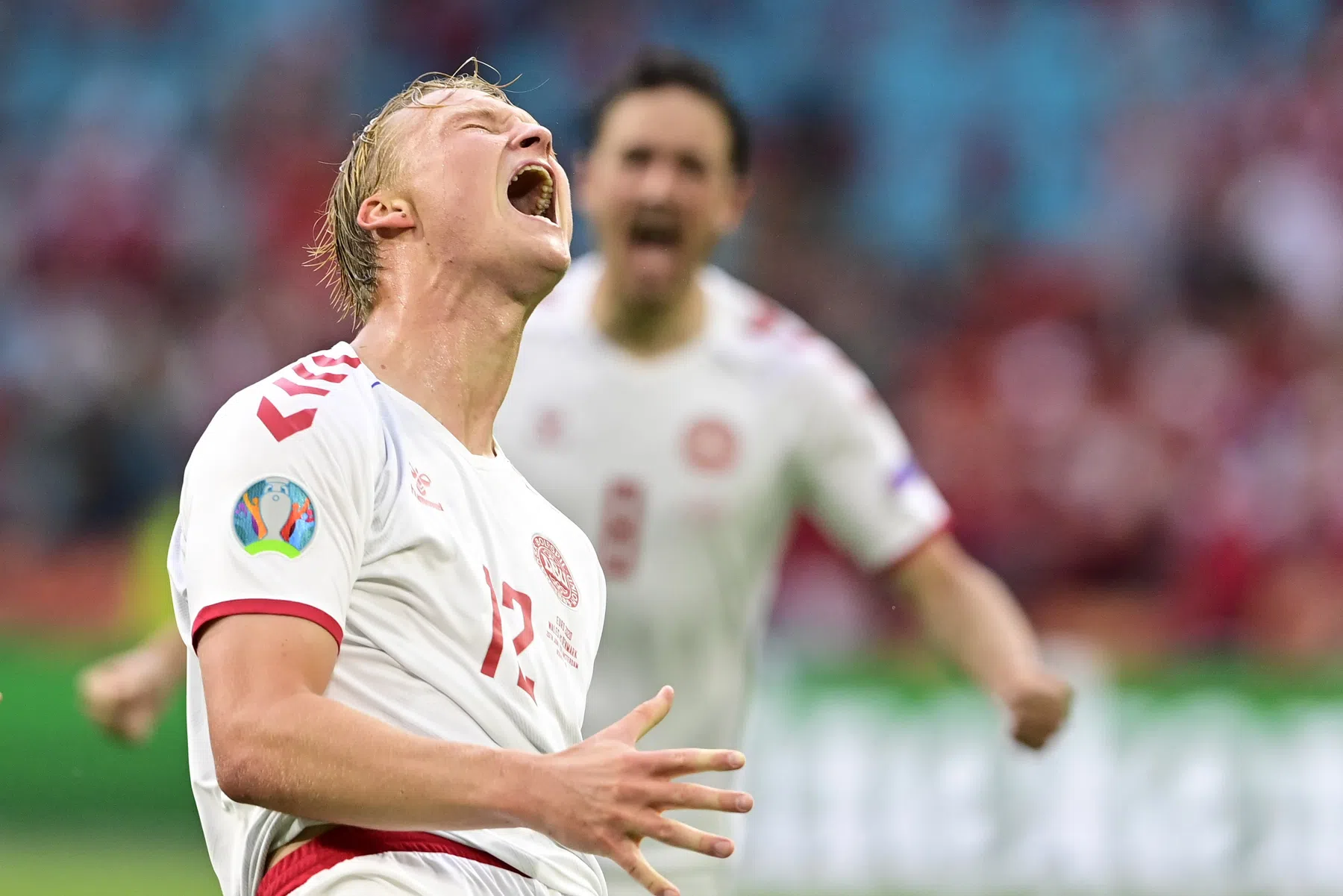 De glorieuze terugkeer van het begenadigde ijskonijn