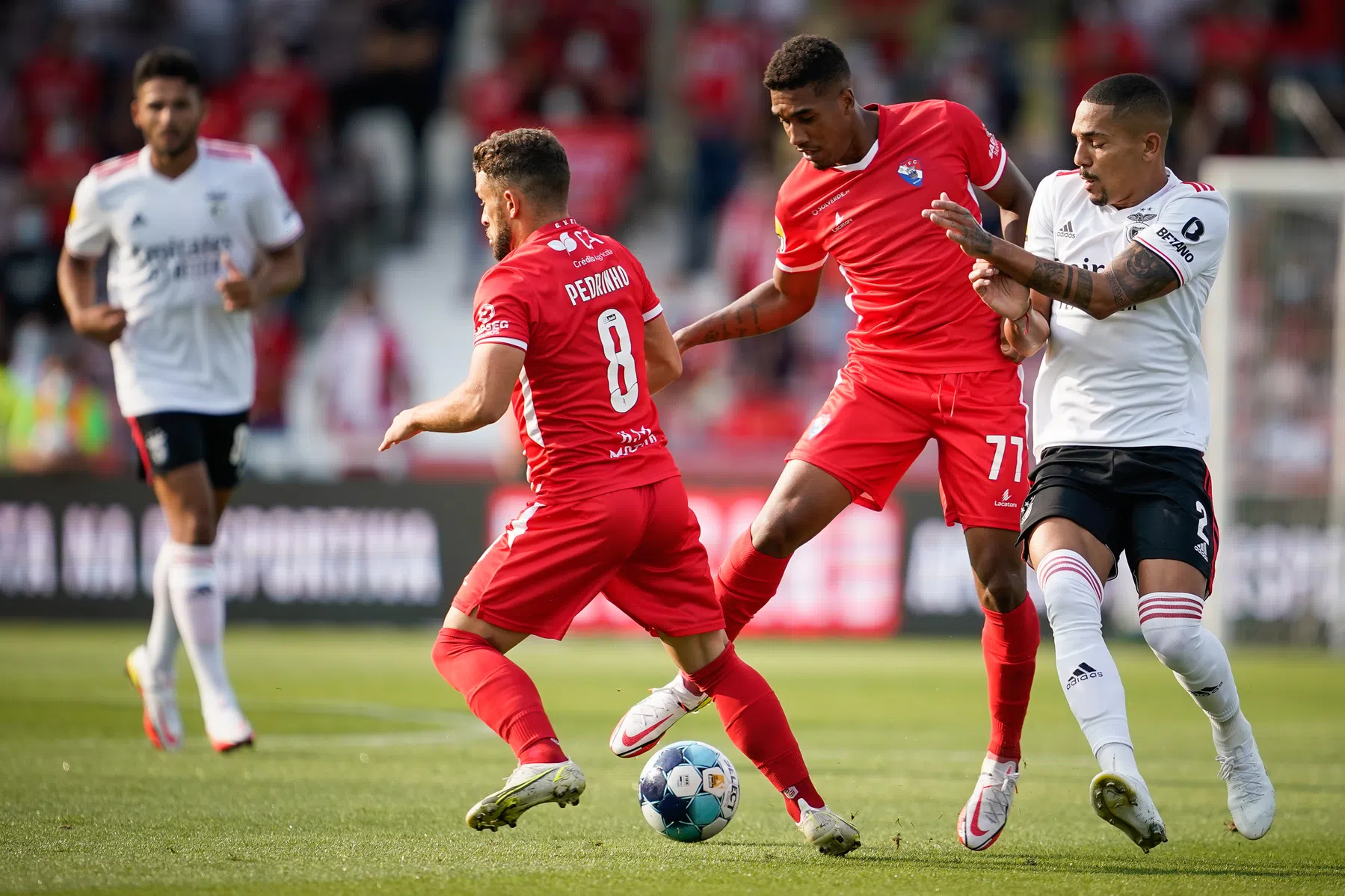 Benfica rouleert en scoort laat in laatste duel voor PSV