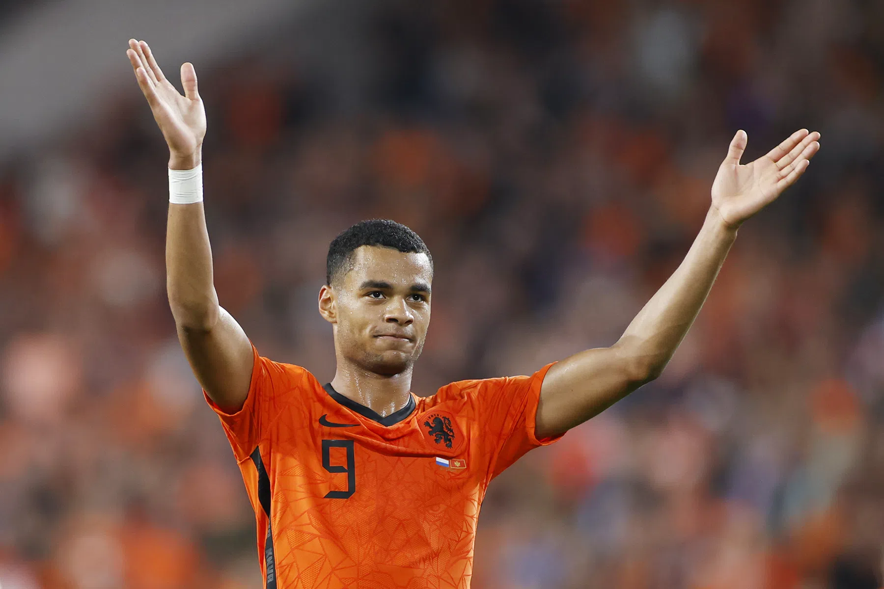 Van Gaal: 'Ik zei in de rust al dat Gakpo een goal zou maken'