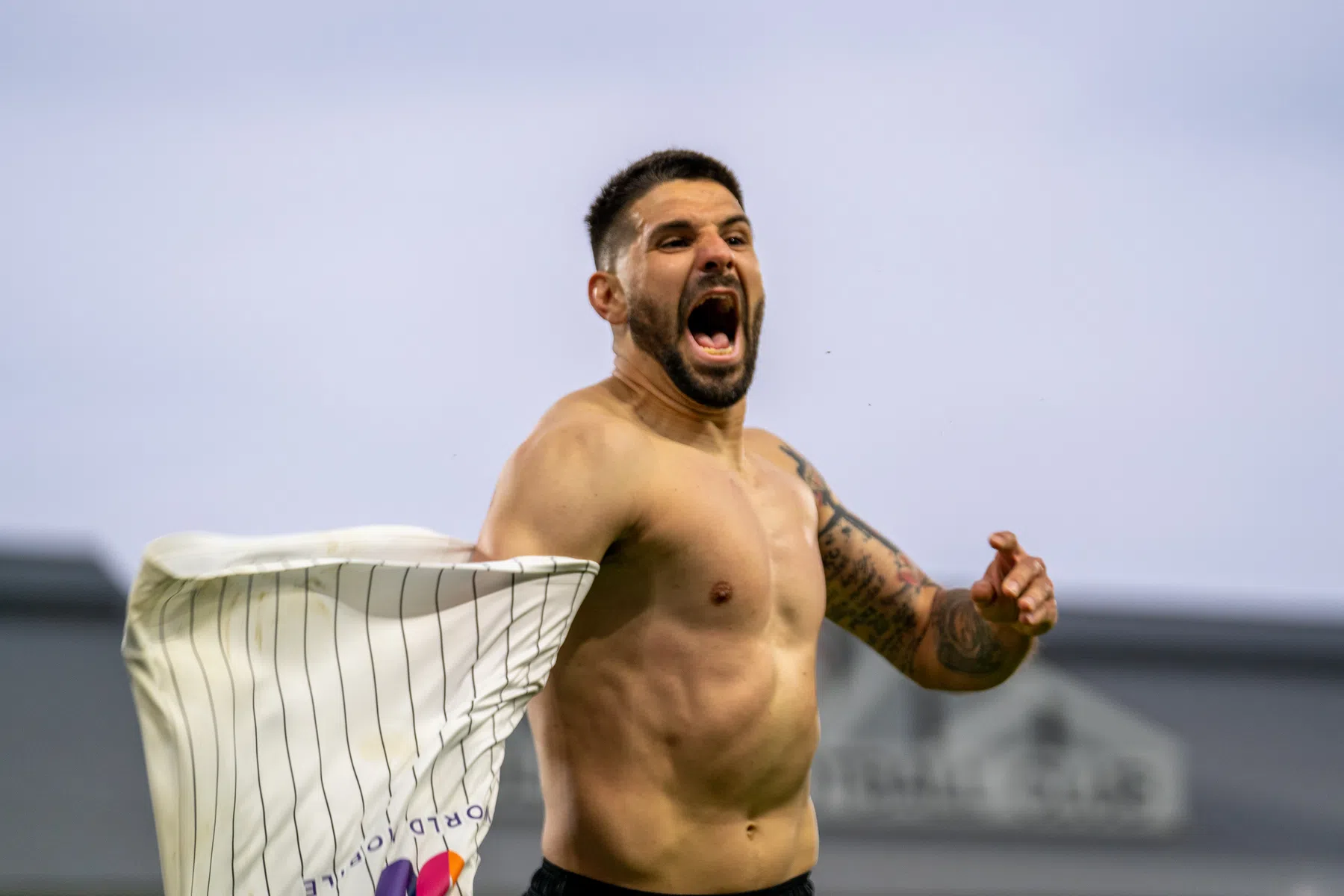 De geslaagde smeekbede als basis voor het sprookjesjaar Fulham