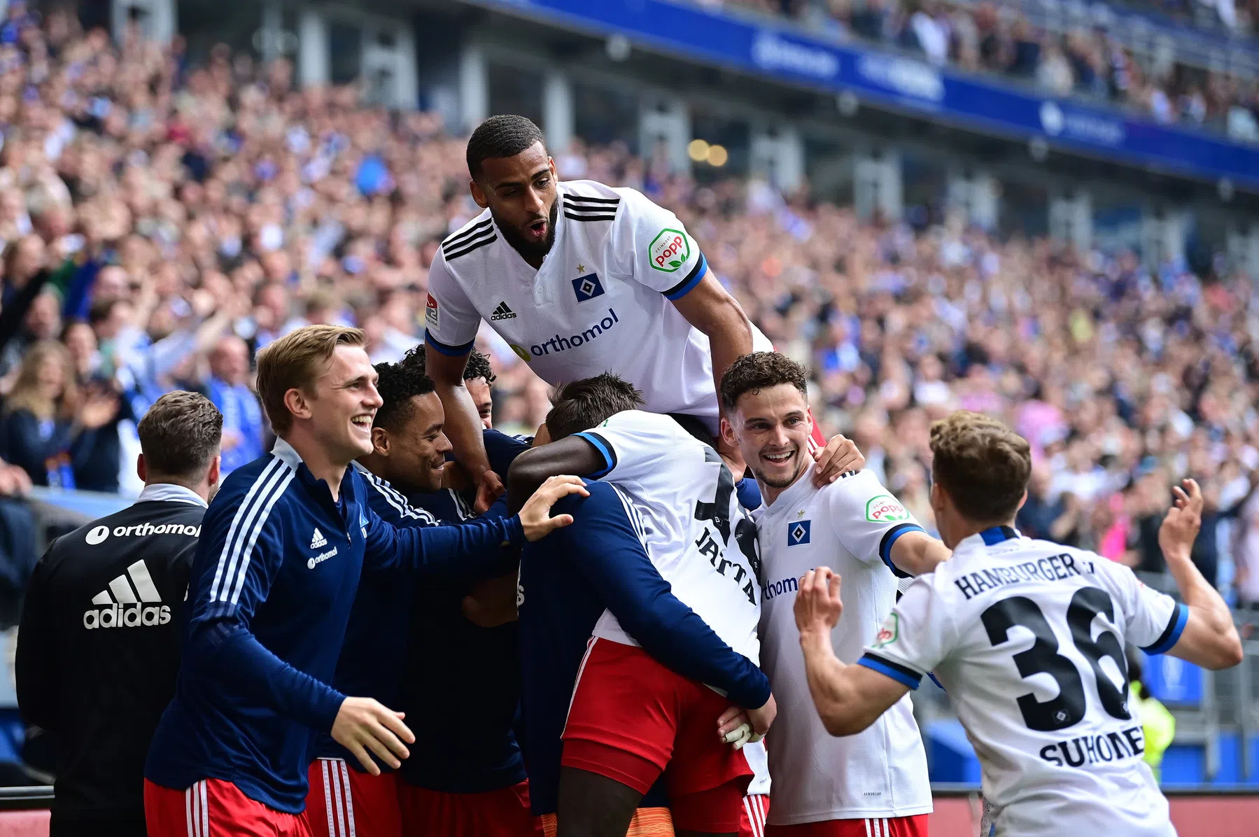 Uit de dood opgestaan: HSV doet weer helemaal mee in Duitse promotiestrijd