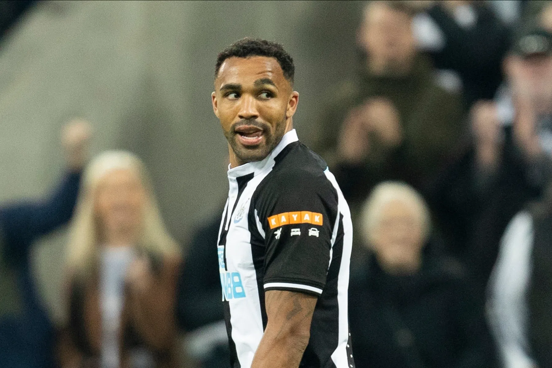 De onverschrokken Magpie: van spandoek 'Mag ik je tand' tot 'geen paniek'