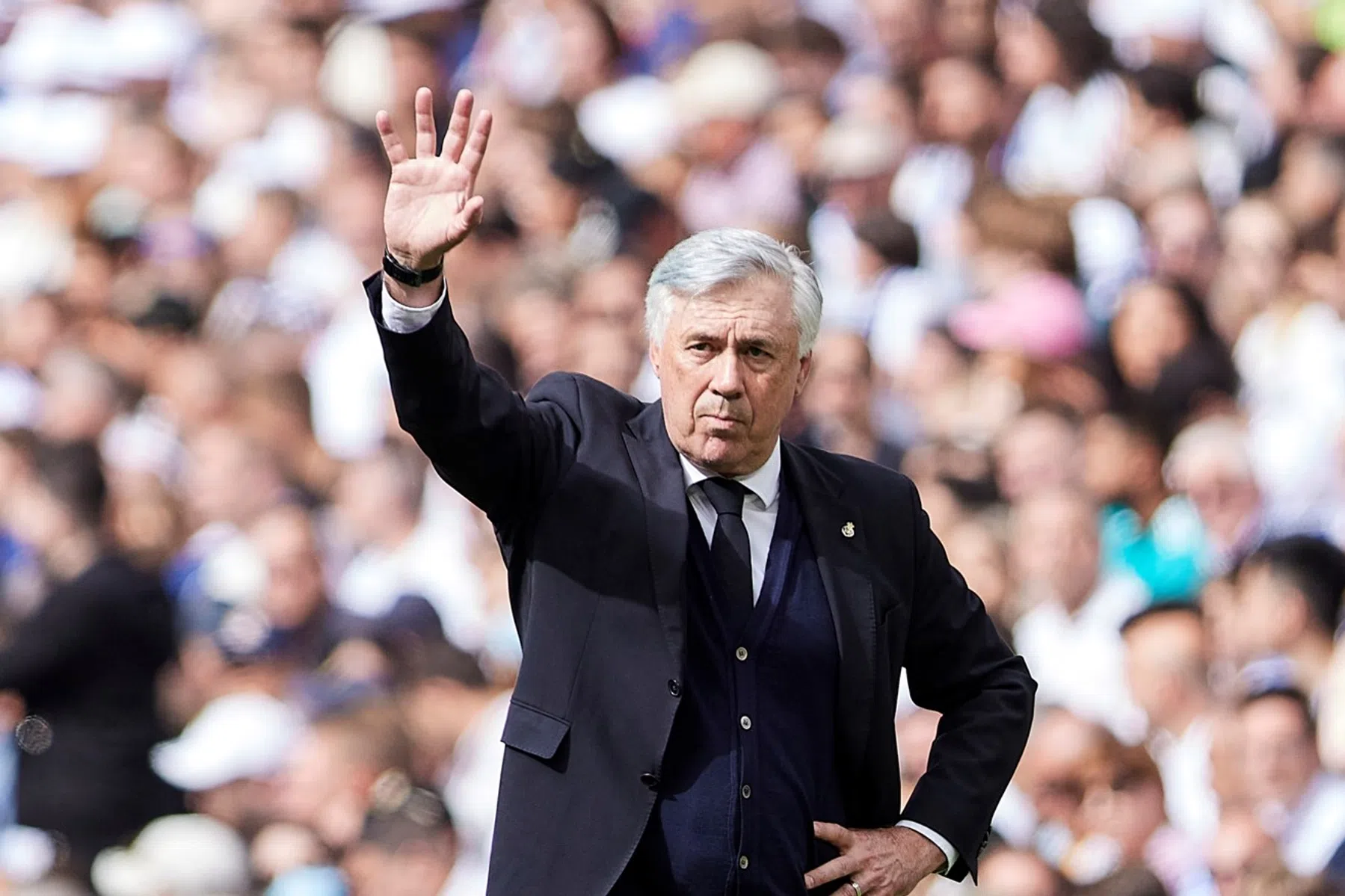 Grote Ancelotti, kleine Courtois