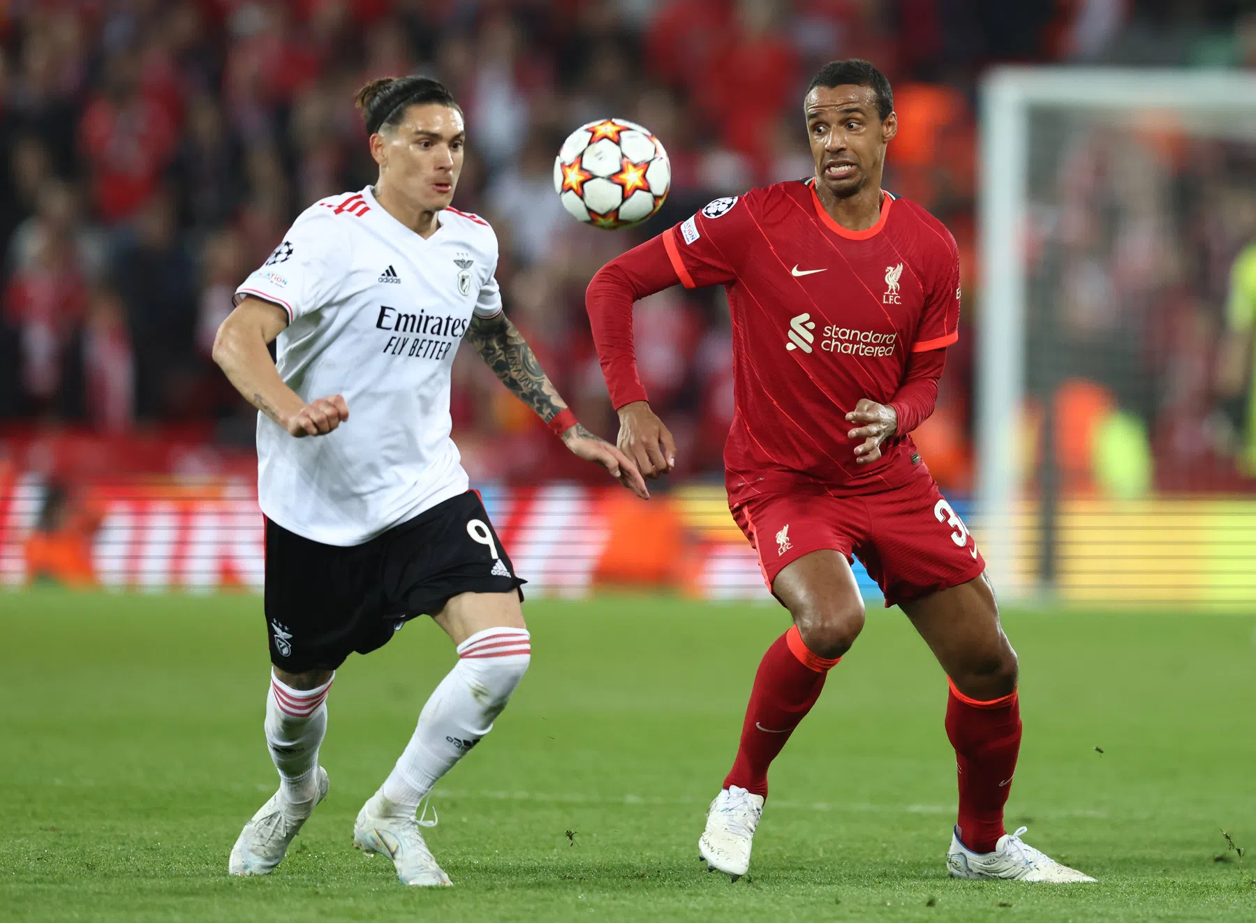Dankbare Klopp dolgelukkig met Núñez: 'Hij heeft alles wat we zoeken'