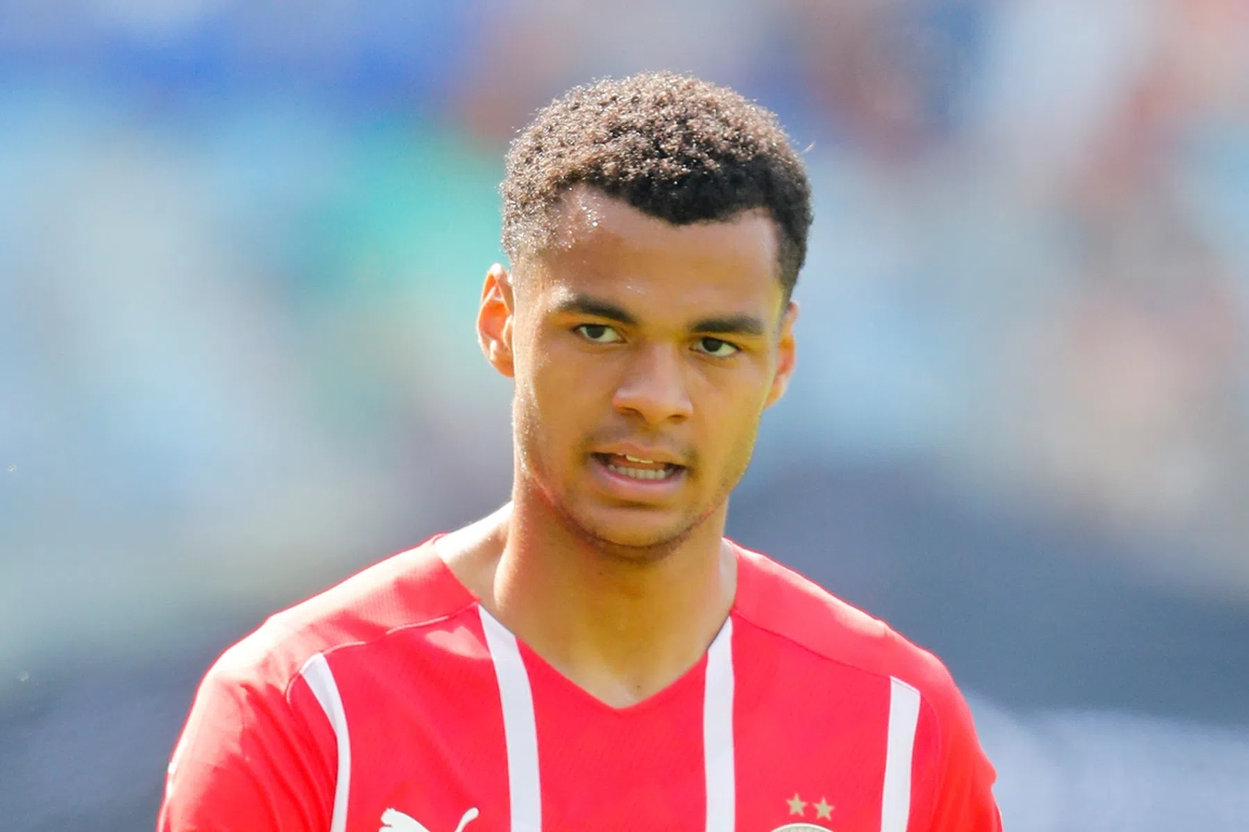 Leeds United volgende gesprekspartner voor Gakpo