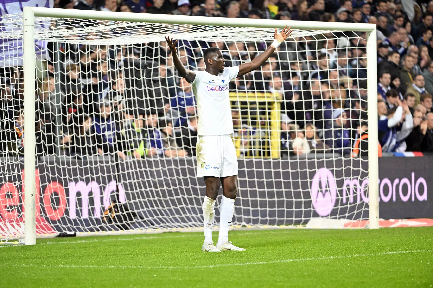 Koploper Genk zal na sublieme eerste seizoenshelft balen van Belgische play-offs