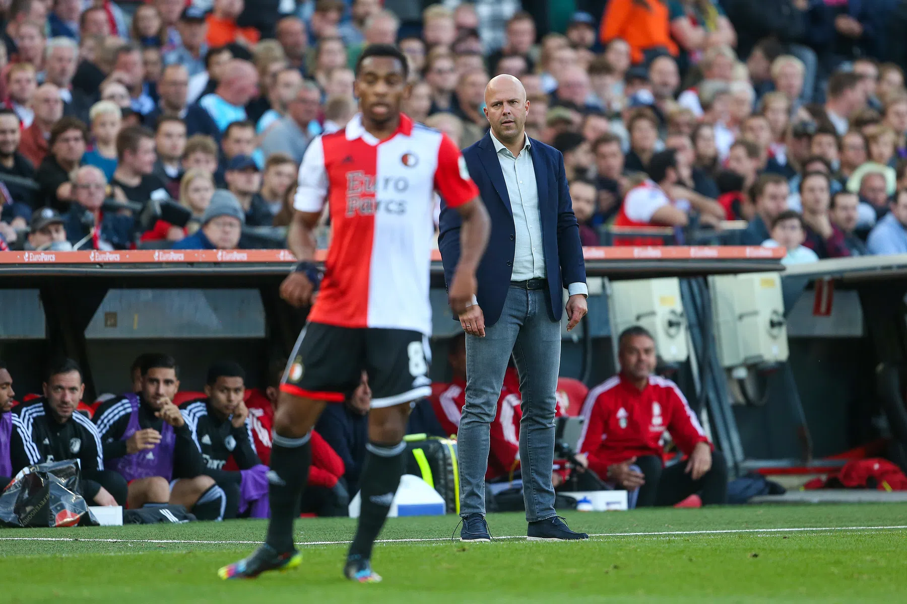 Het winterklassement: de rapportcijfers van de Eredivisie-trainers