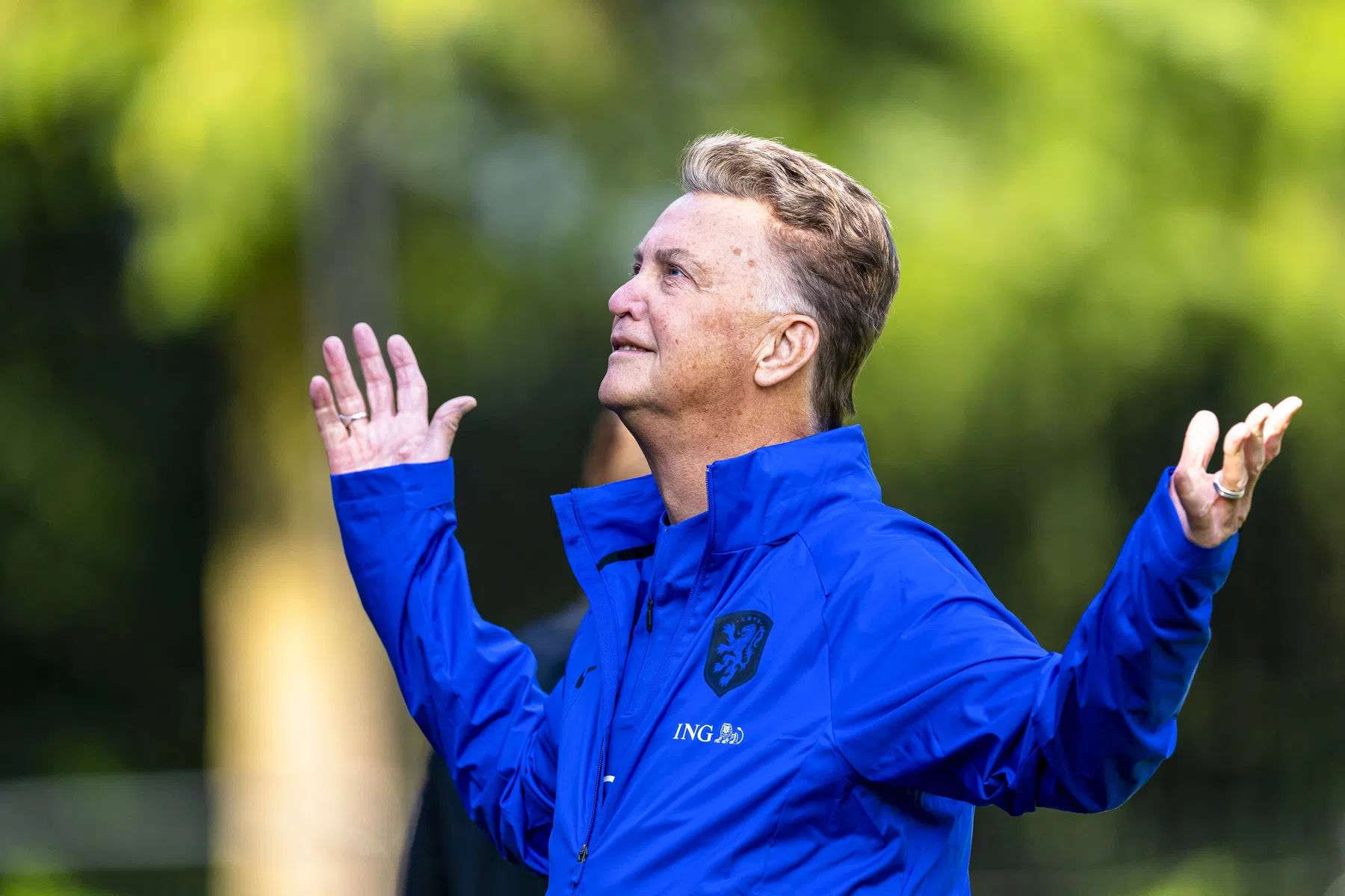 Terugblik op de heerschappij van Koning Louis: kleurrijker kan niet